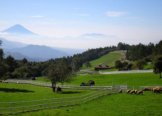 🏞️ 야마나시 현립 마키바 공원(山梨県立 まきば公園) 이미지 2